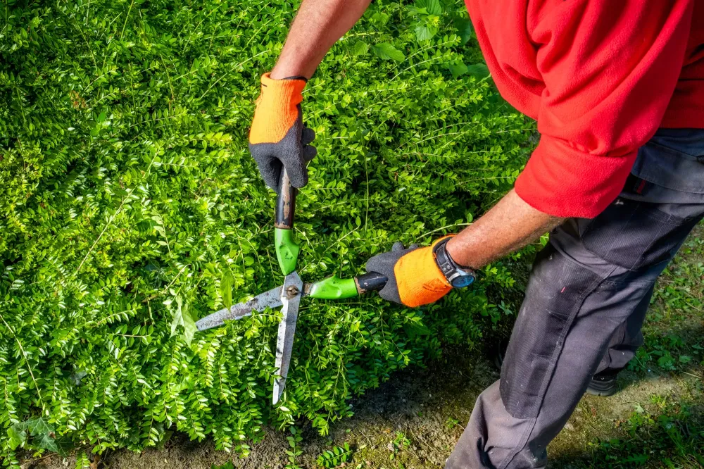Pose de clôtures et portails à Waterloo