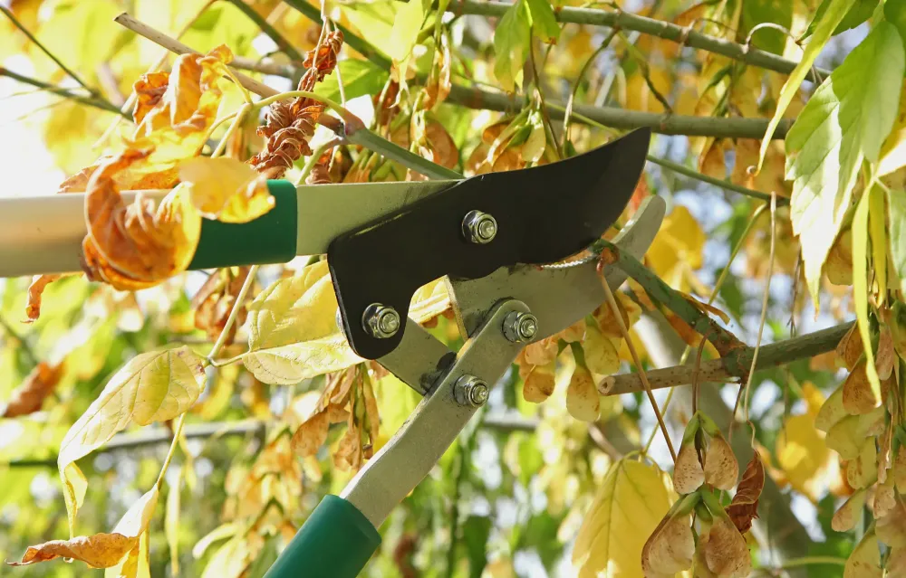 Égouttage à Waterloo